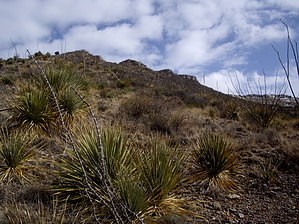 feature photo