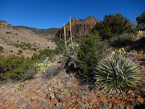 feature photo