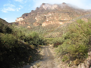 feature photo