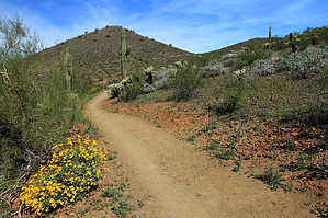 feature photo