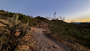 feature photo