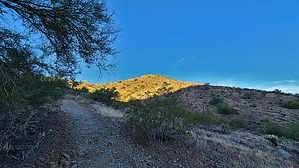 feature photo