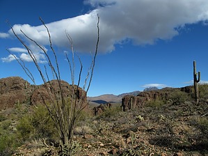 feature photo