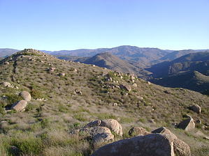 feature photo
