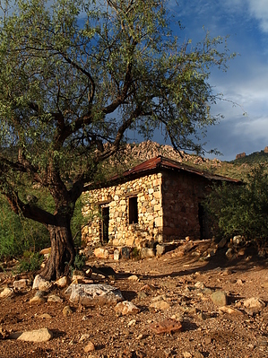 feature photo
