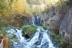feature photo