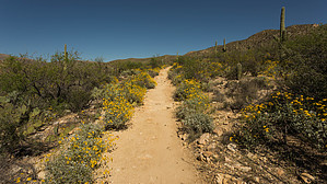 feature photo