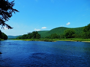 feature photo