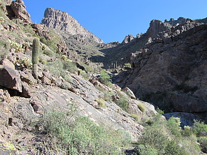 feature photo