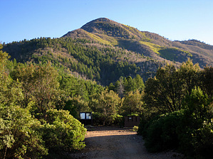 feature photo