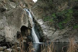 feature photo