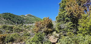 feature photo