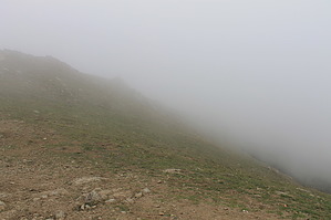 feature photo
