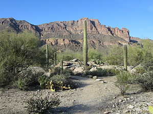 feature photo
