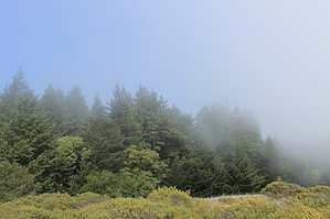 feature photo