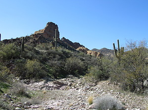 feature photo