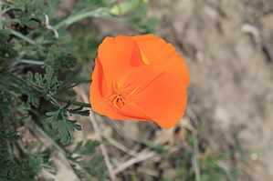 feature photo