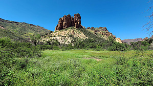 feature photo