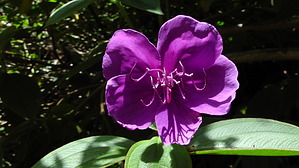 feature photo