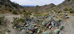 feature photo