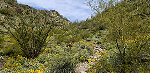 feature photo