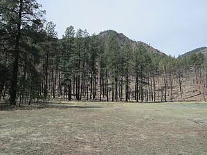 feature photo
