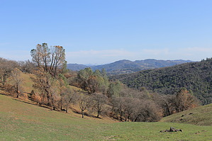 feature photo