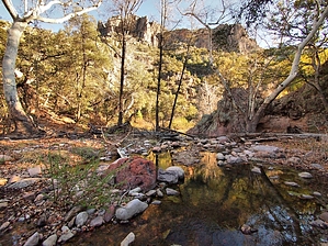 feature photo