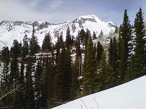 feature photo