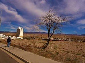 feature photo