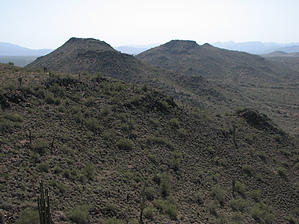 feature photo
