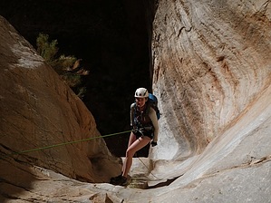 feature photo