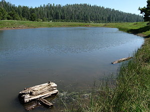feature photo