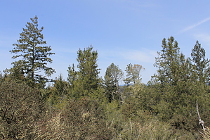feature photo
