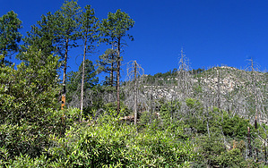 feature photo