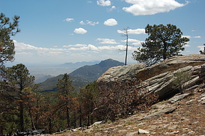 feature photo