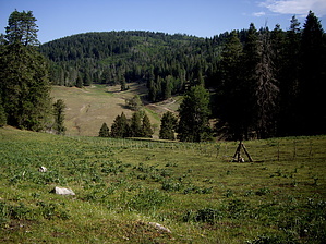 feature photo