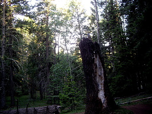 feature photo