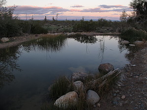 feature photo