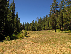 feature photo