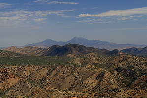 feature photo