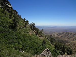 feature photo