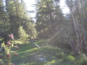 feature photo