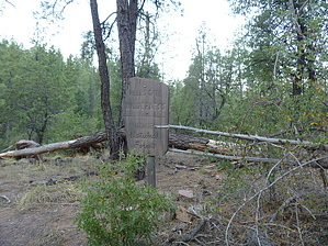 feature photo