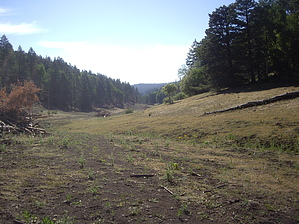 feature photo