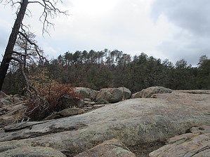 feature photo