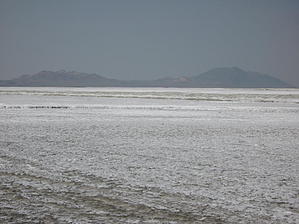 feature photo