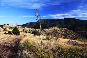 feature photo
