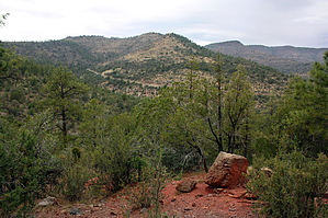 feature photo
