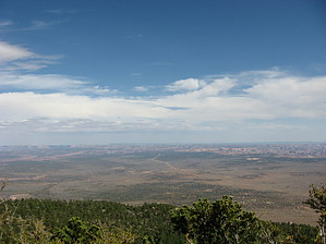 feature photo